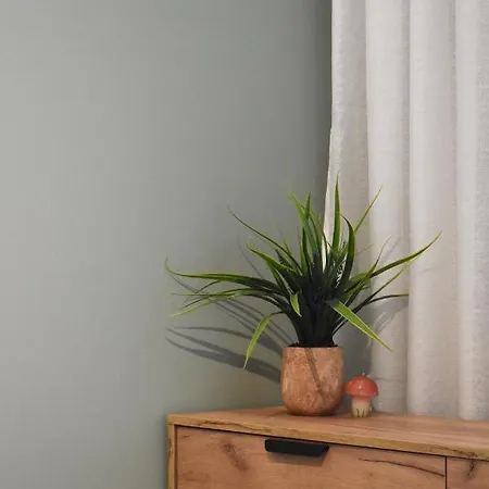 Apartment Vibrant